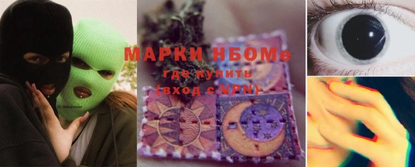 дмт Алзамай