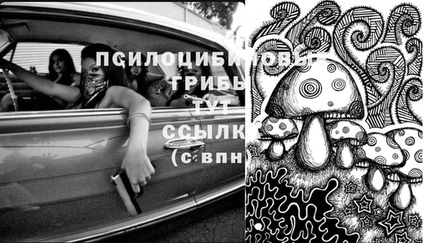 дмт Алзамай