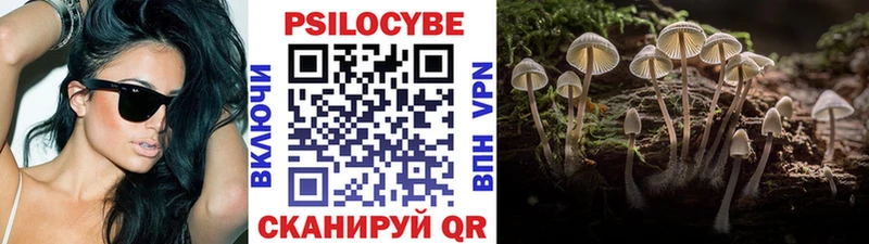 Галлюциногенные грибы GOLDEN TEACHER  кракен маркетплейс  Александров  цены  